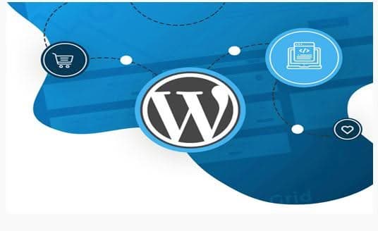 Web Development Services