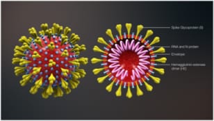 corona structure